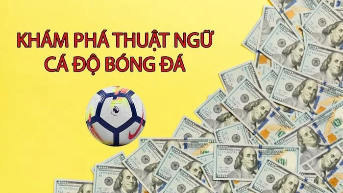 Tổng hợp những thuật ngữ cá cược bóng đá dành cho tân thủ