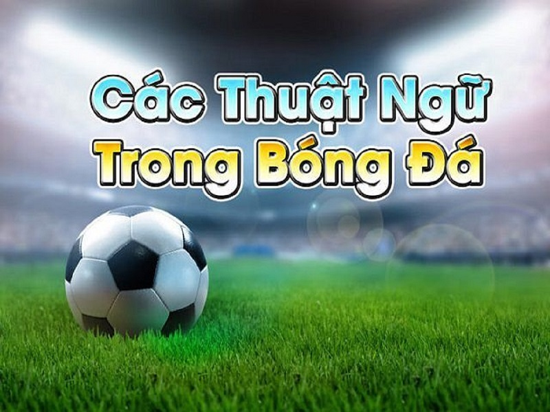 Tổng hợp những thuật ngữ cá cược bóng đá dành cho tân thủ