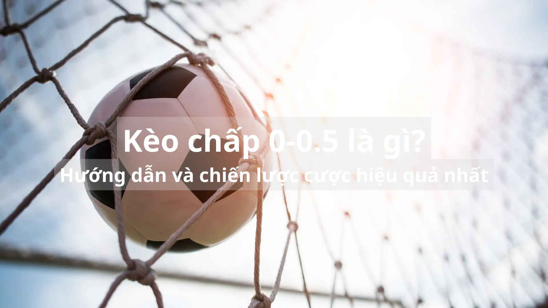 Kèo chấp 0-0.5 là gì? Hướng dẫn và chiến lược cược hiệu quả nhất