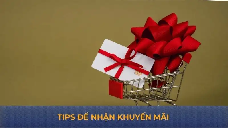 Khuyến mãi Bong88 ưu đãi hấp dẫn cho thành viên mới &amp; cũ