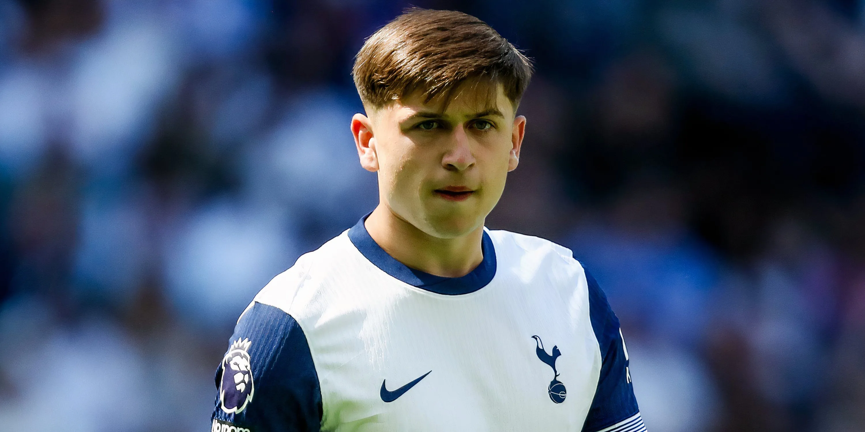 Mikey Moore trong màu áo Tottenham Hotspur