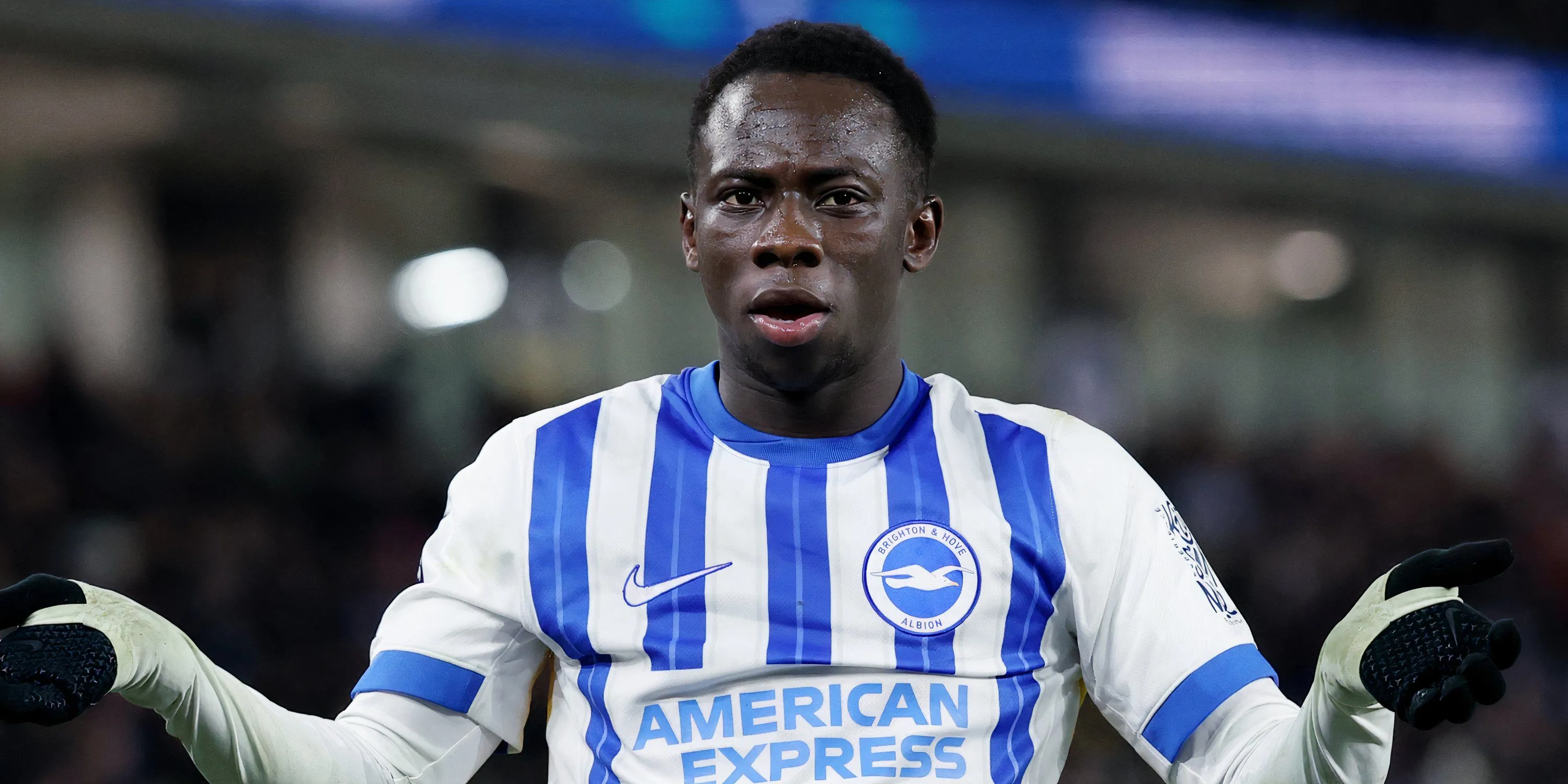 Yankuba Minteh trong màu áo Brighton