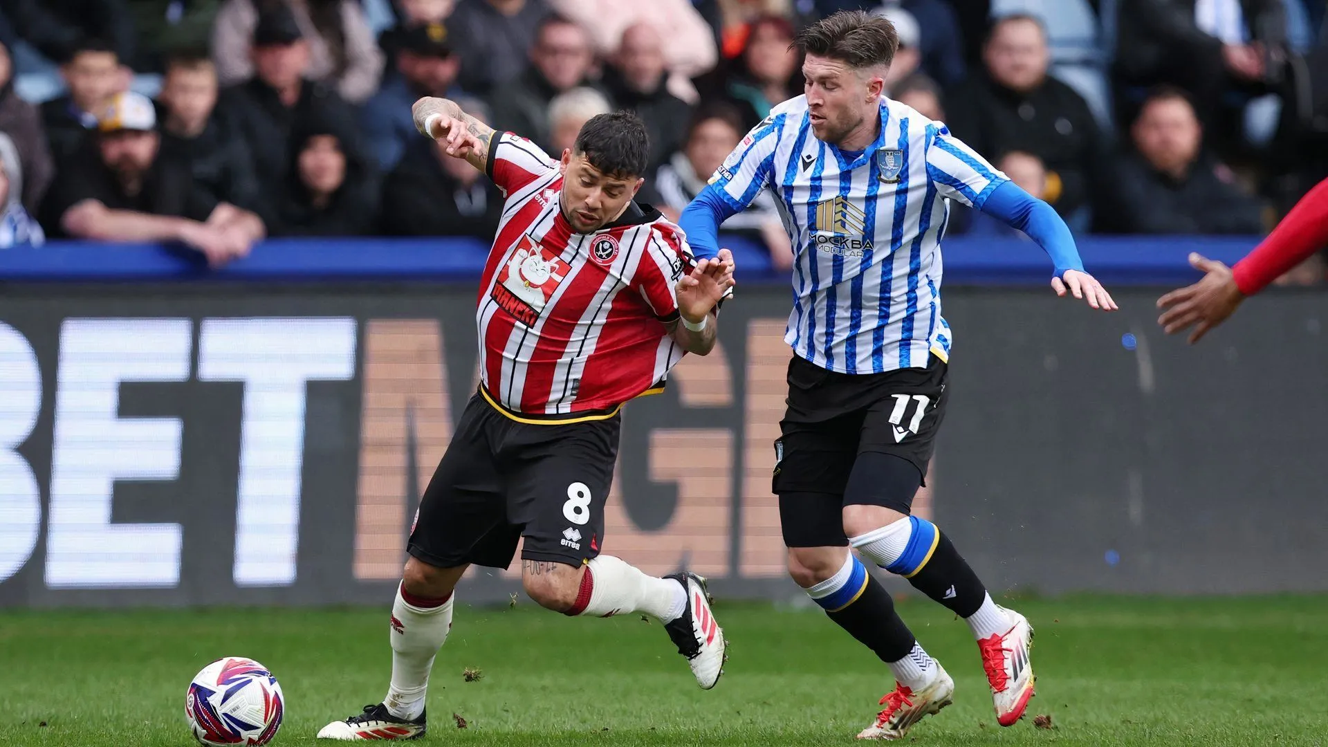 Josh Windass thi đấu cho Sheffield Wednesday trong trận derby Sheffield United