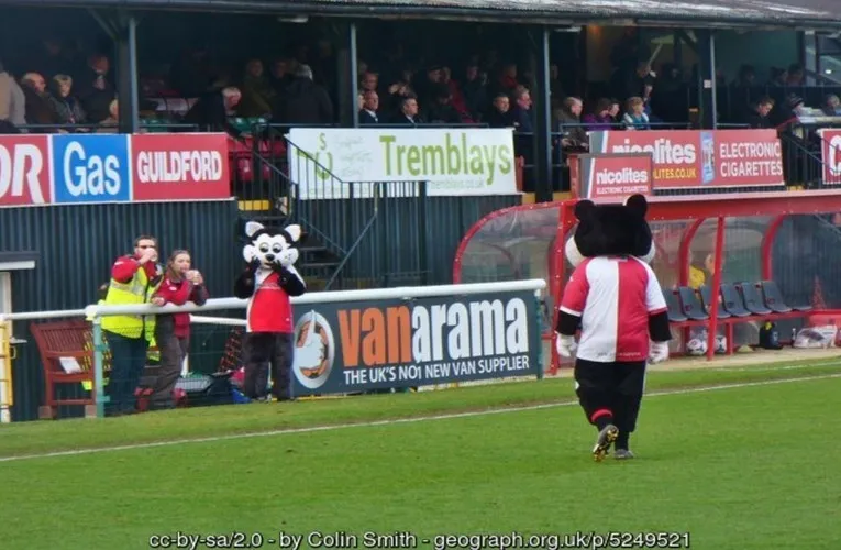 Linh vật K.C. Kat của câu lạc bộ Woking FC