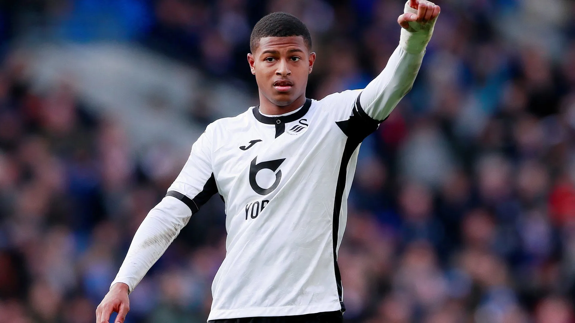 Rhian Brewster ăn mừng bàn thắng trong màu áo Swansea City