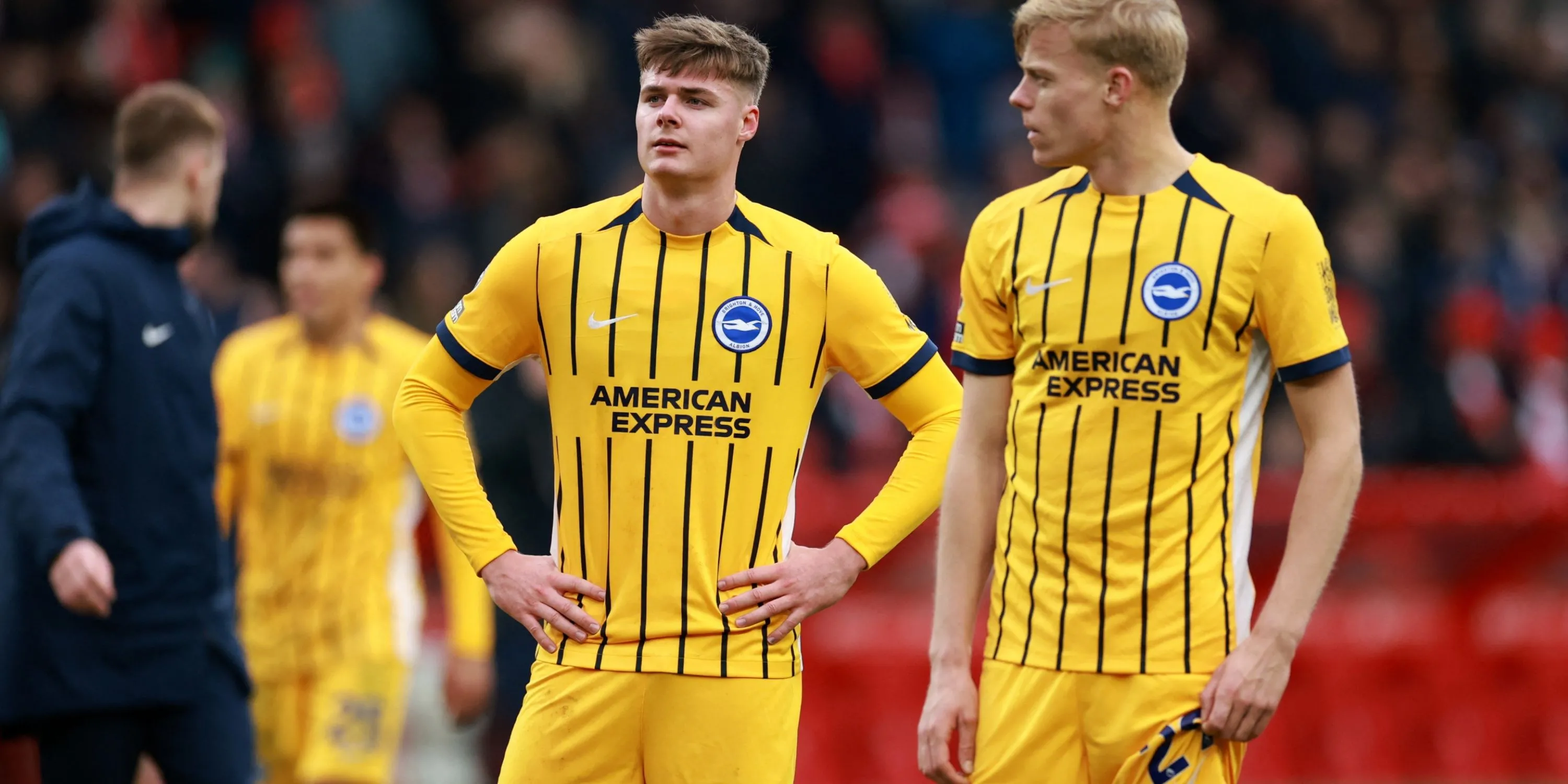 Evan Ferguson trong màu áo Brighton