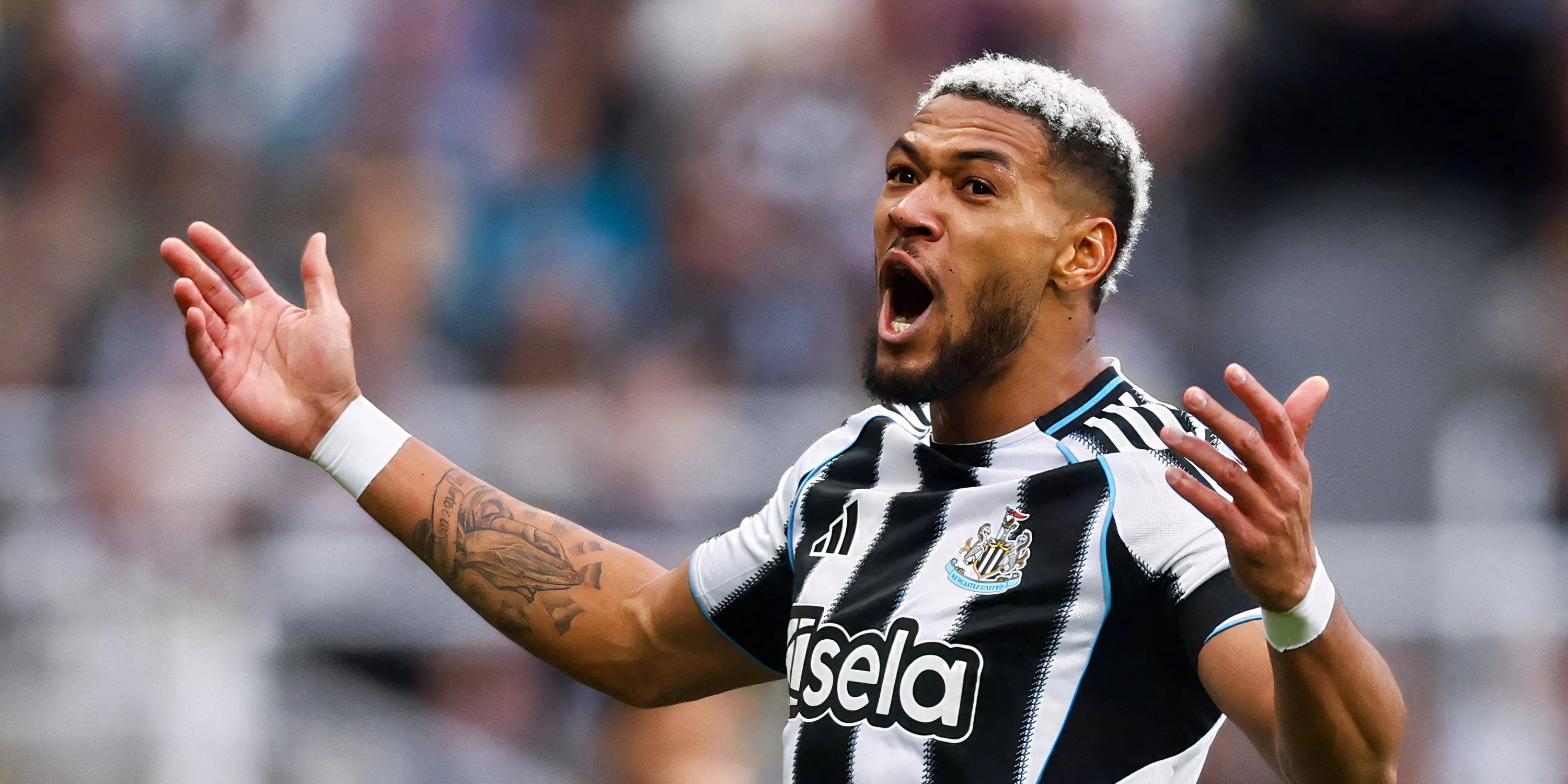 Joelinton - cầu thủ của Newcastle